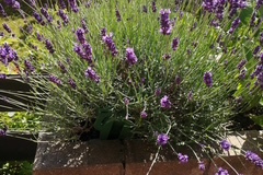 image01