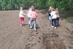 Dzieci ciągną bronę po polu